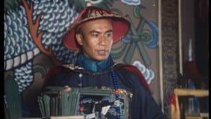 花翎飞盗 — foto 1