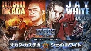 NJPW Wrestle Kingdom 13 — foto 6