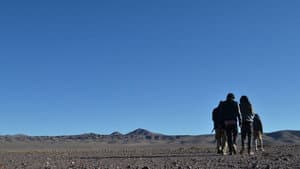Atacama — foto 1