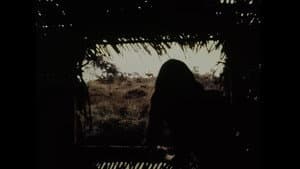 Camélia — foto 2