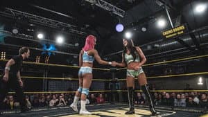 IPW:UK International Battle Royale — foto 1