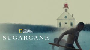 Sugarcane — foto 8