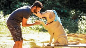 அன்புள்ள கில்லி — foto 1
