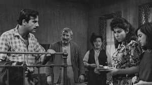 Avare Mustafa — foto 6