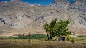 Lo que mata — foto 12