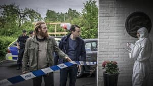 Beck 33 - Vägs ände — foto 3