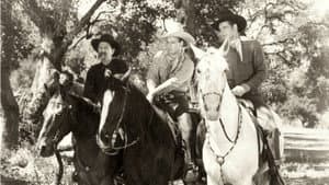 The Pinto Kid — foto 1