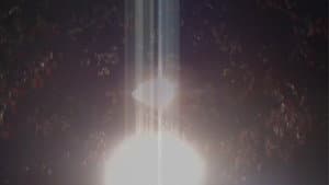 light blossom — foto 2