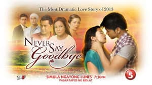 Never Say Goodbye — foto 1