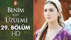 Episodio 29