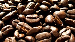 Black Coffee — foto 1