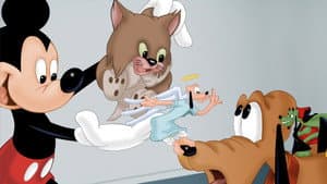 Lend a Paw — foto 2