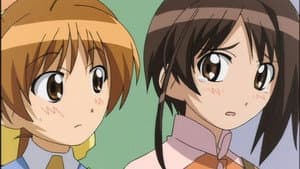 Episodio 8