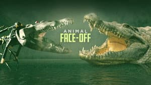 Animal Face-Off — foto 1