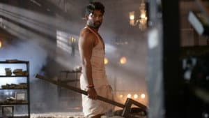 డీజే: దువ్వాడ జగన్నాథం — foto 11