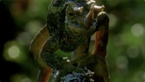 Dragons Alive — foto 2
