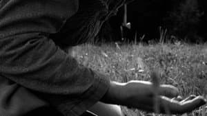 The Painter — foto 3