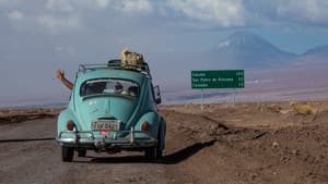 O mundo cabe em um Fusca — foto 8