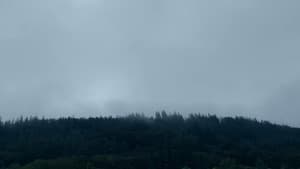 AURORA: Nothing Is Eternal — foto 3