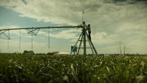 'Til Harvest Comes — foto 3