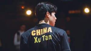 荣耀乒乓 — foto 2