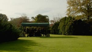 Simón — foto 2