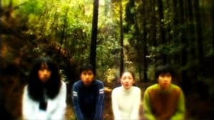 Analife — foto 2