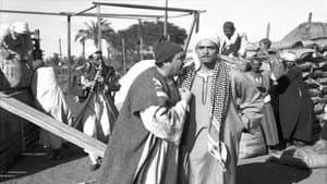 بهية — foto 2