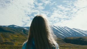 Svanurinn — foto 1
