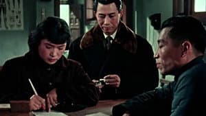 女篮五号 — foto 8