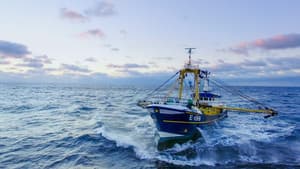 Trawlermen: Hunting the Catch — foto 1