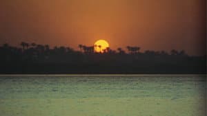 شكاوى الفلاح الفصيح — foto 3
