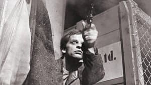 Der Zinker — foto 8