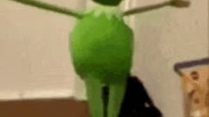 A delicate dance with god ~ {Kermit — foto 1