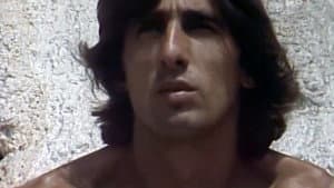Metamorfosi — foto 2