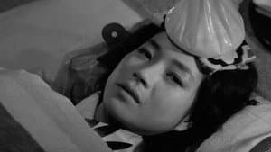 女ばかりの夜 — foto 4