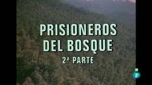 Episodio 85