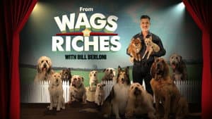 From Wags to Riches With Bill Berloni — foto 1