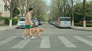 宠爱 — foto 6