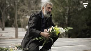 داریوش — foto 11