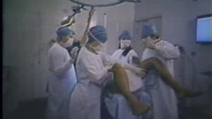Hospital da Corrupção e dos Prazeres — foto 1