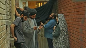 فلامینگو — foto 1
