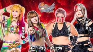 第15回 ゴッデス・オブ・スターダム ～タッグリーグ戦～ in KANDAMYOUJIN — foto 4