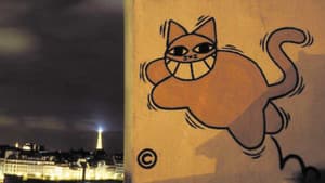Chats perchés — foto 2