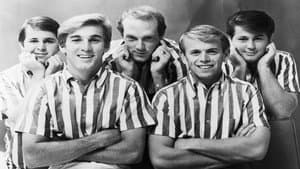The Beach Boys: It's OK — foto 1