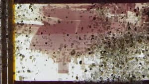 Pink Beach Red Desert Dream Sand Film — foto 1