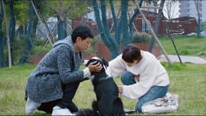 犬爱 — foto 2