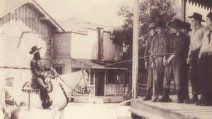 The Lone Hand Texan — foto 1