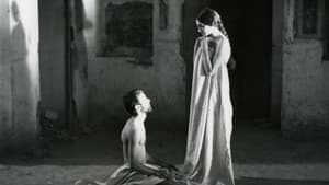 چشمه — foto 1