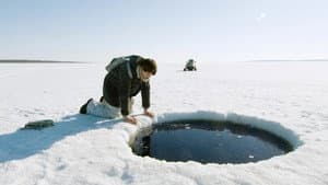 Ping-pongkingen — foto 1